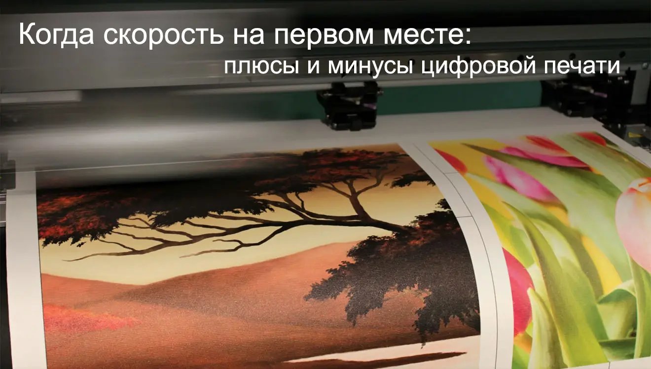  - картинка 4