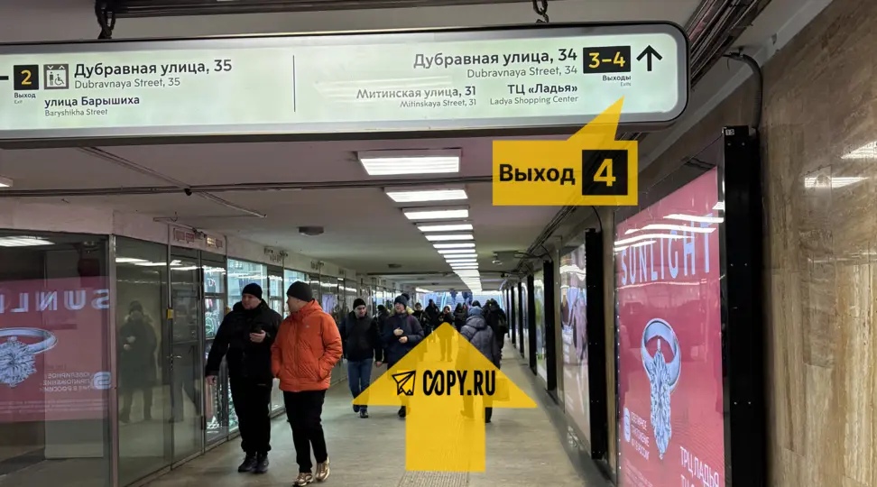 Copy.ru Митино