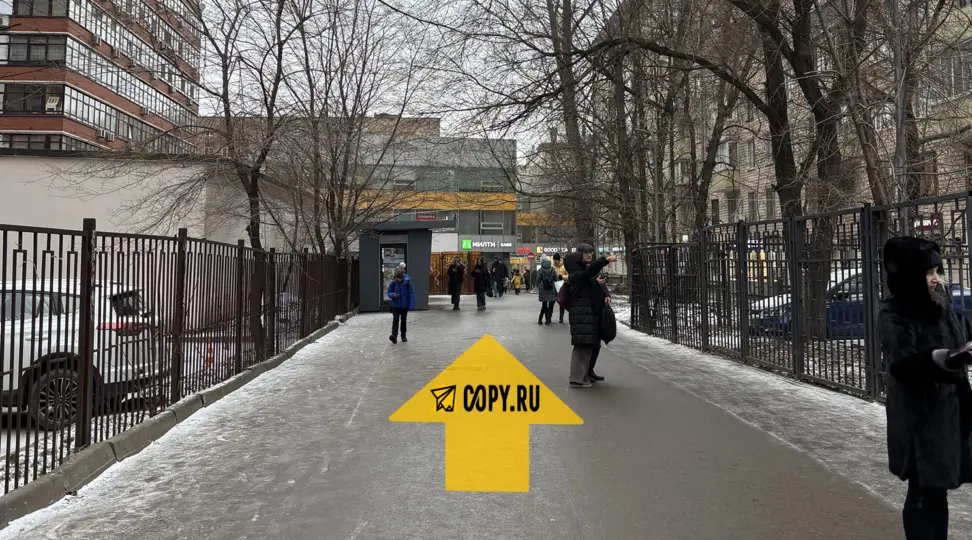Copy.ru Сокол