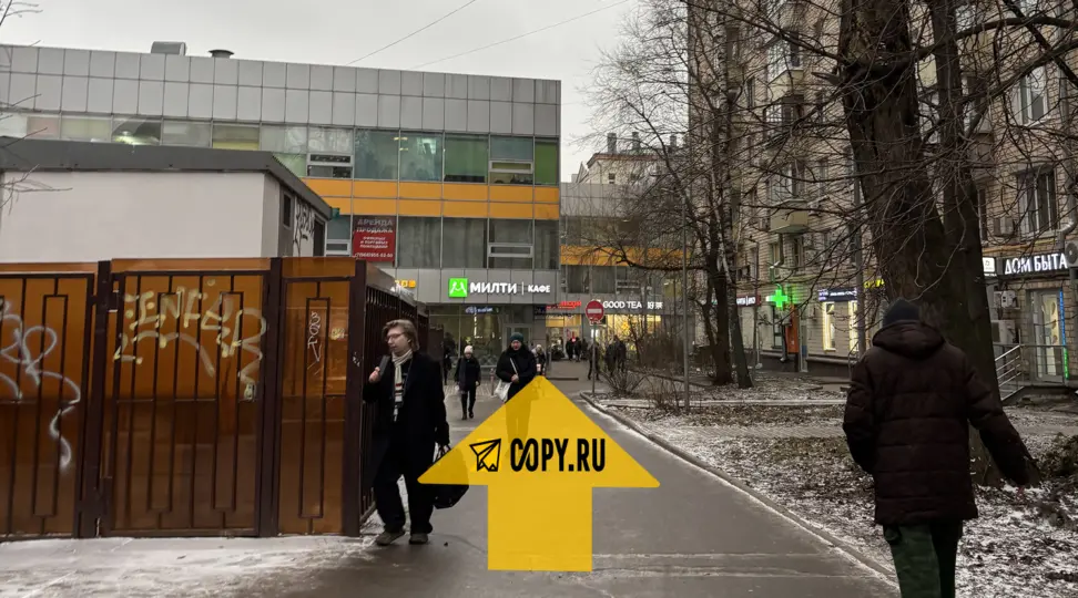 Copy.ru Сокол