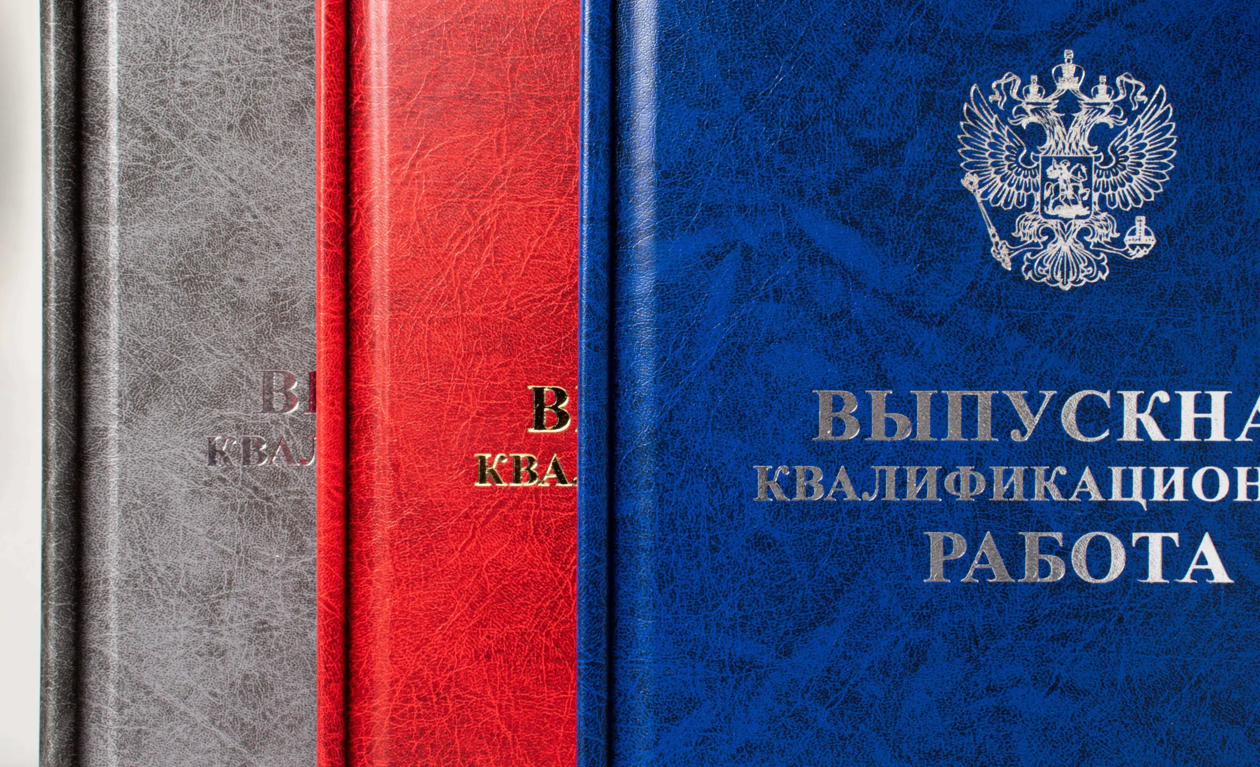  - картинка 9