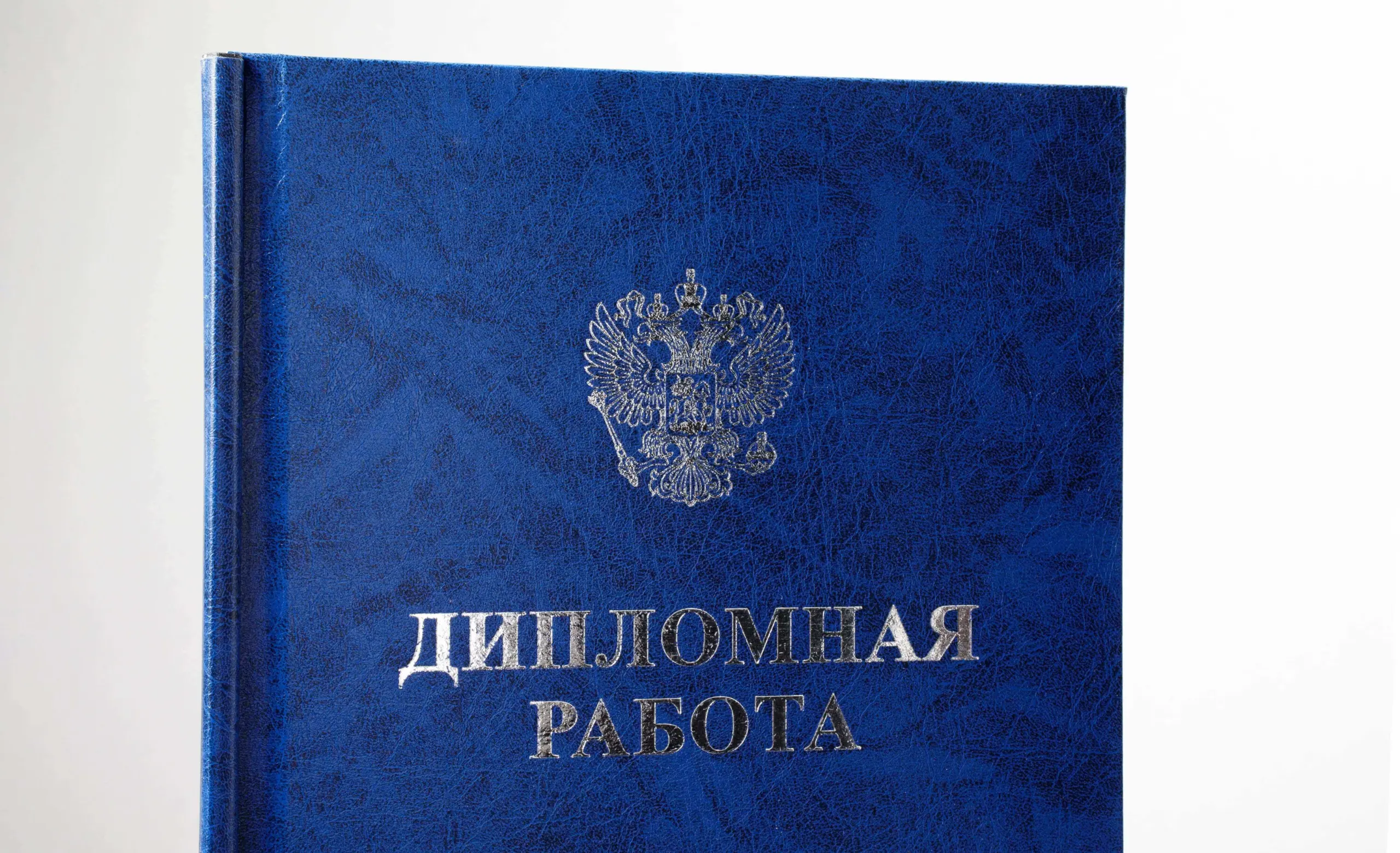  - картинка 10