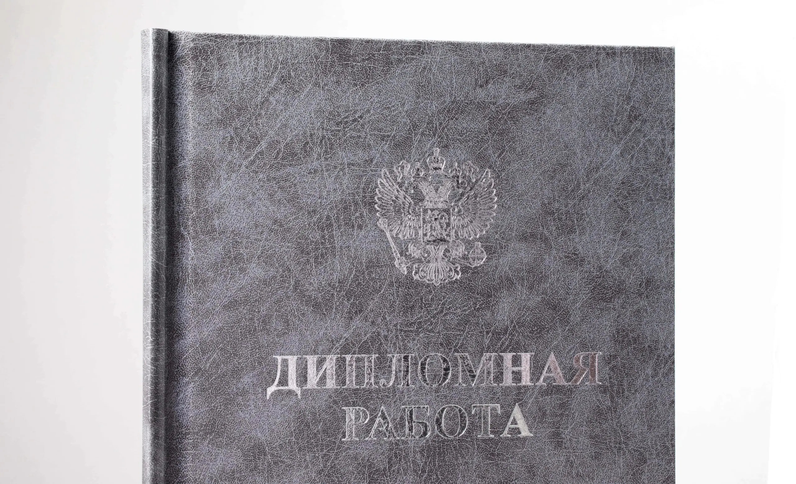  - картинка 11