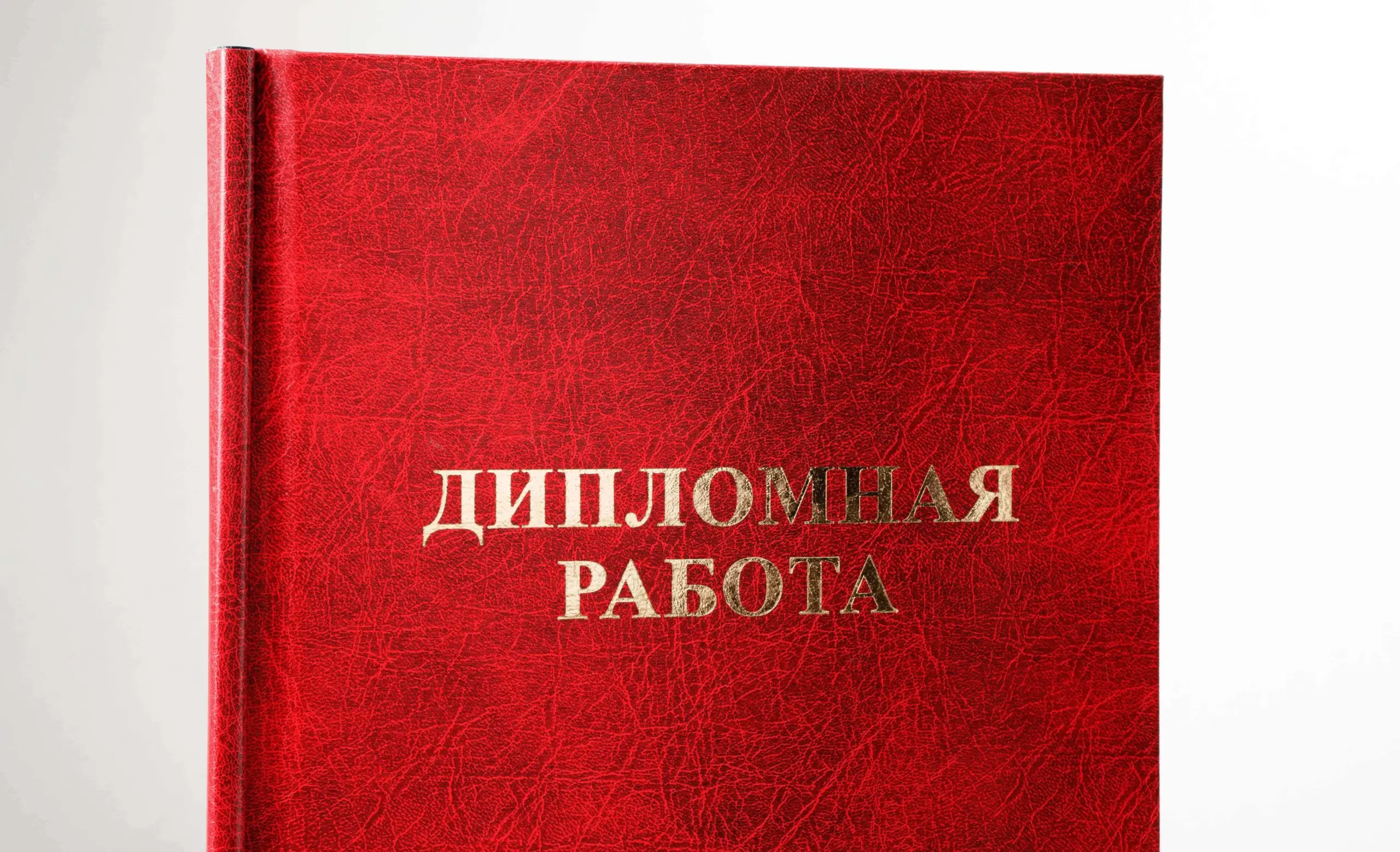  - картинка 8