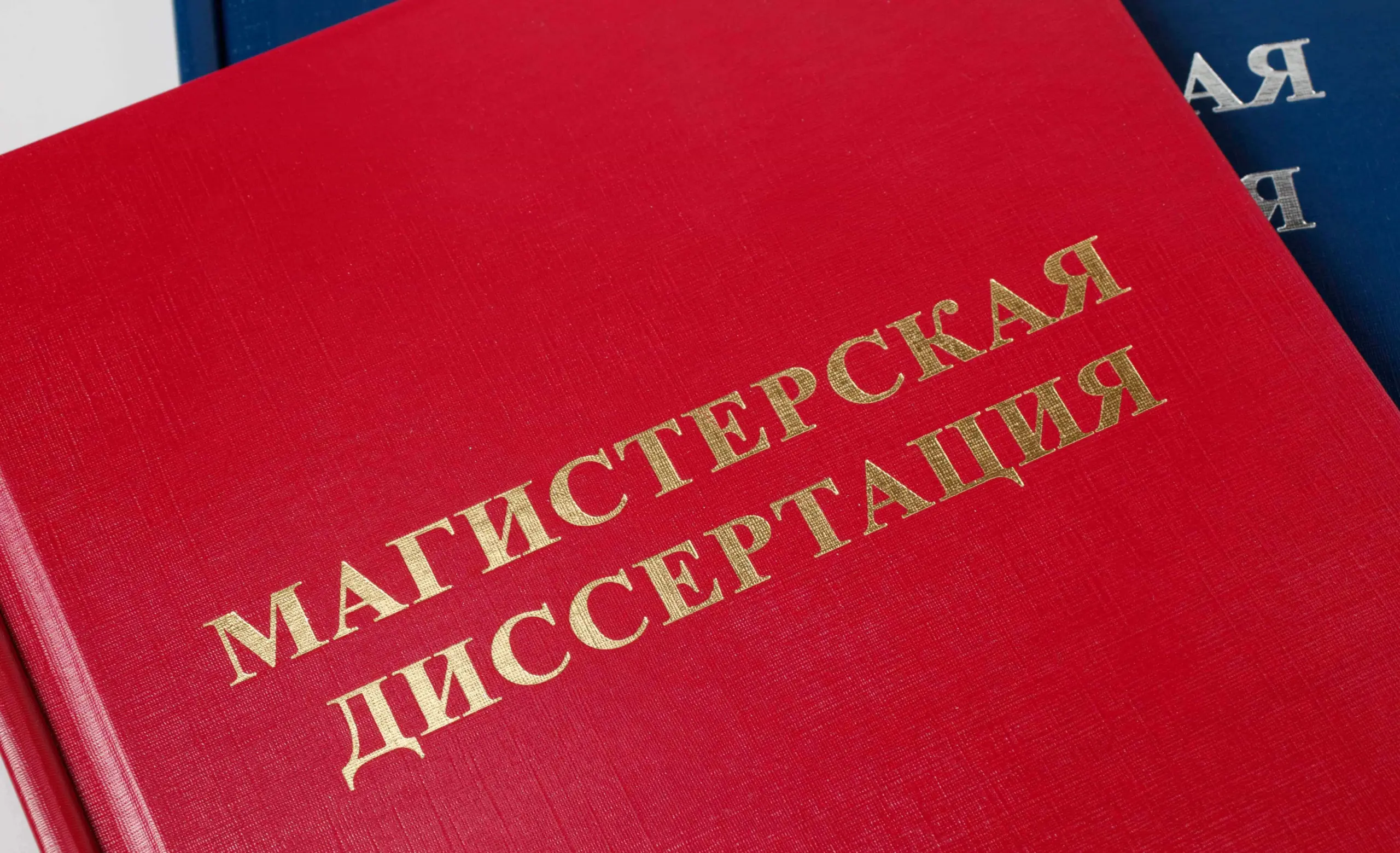  - картинка 12