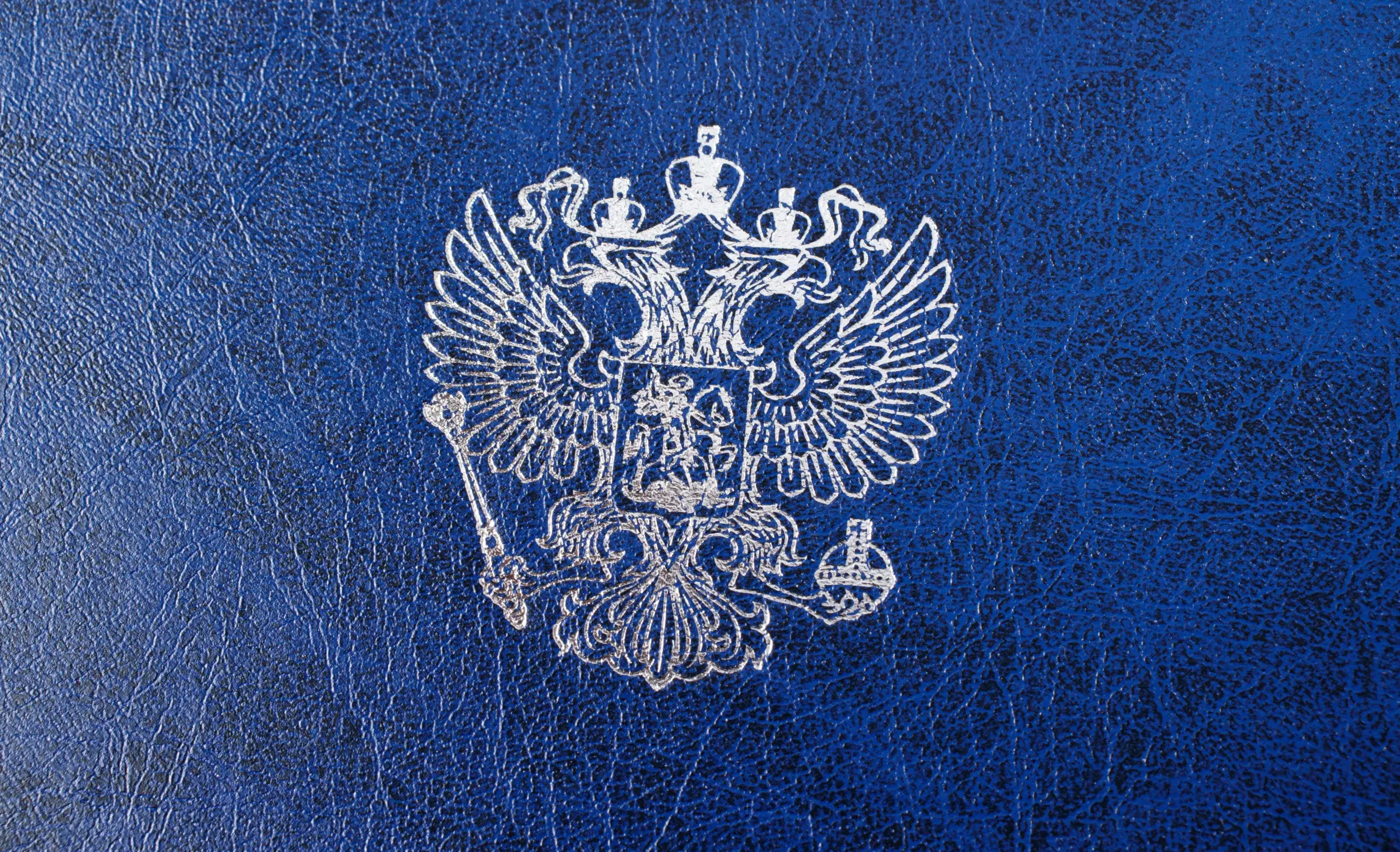  - картинка 9
