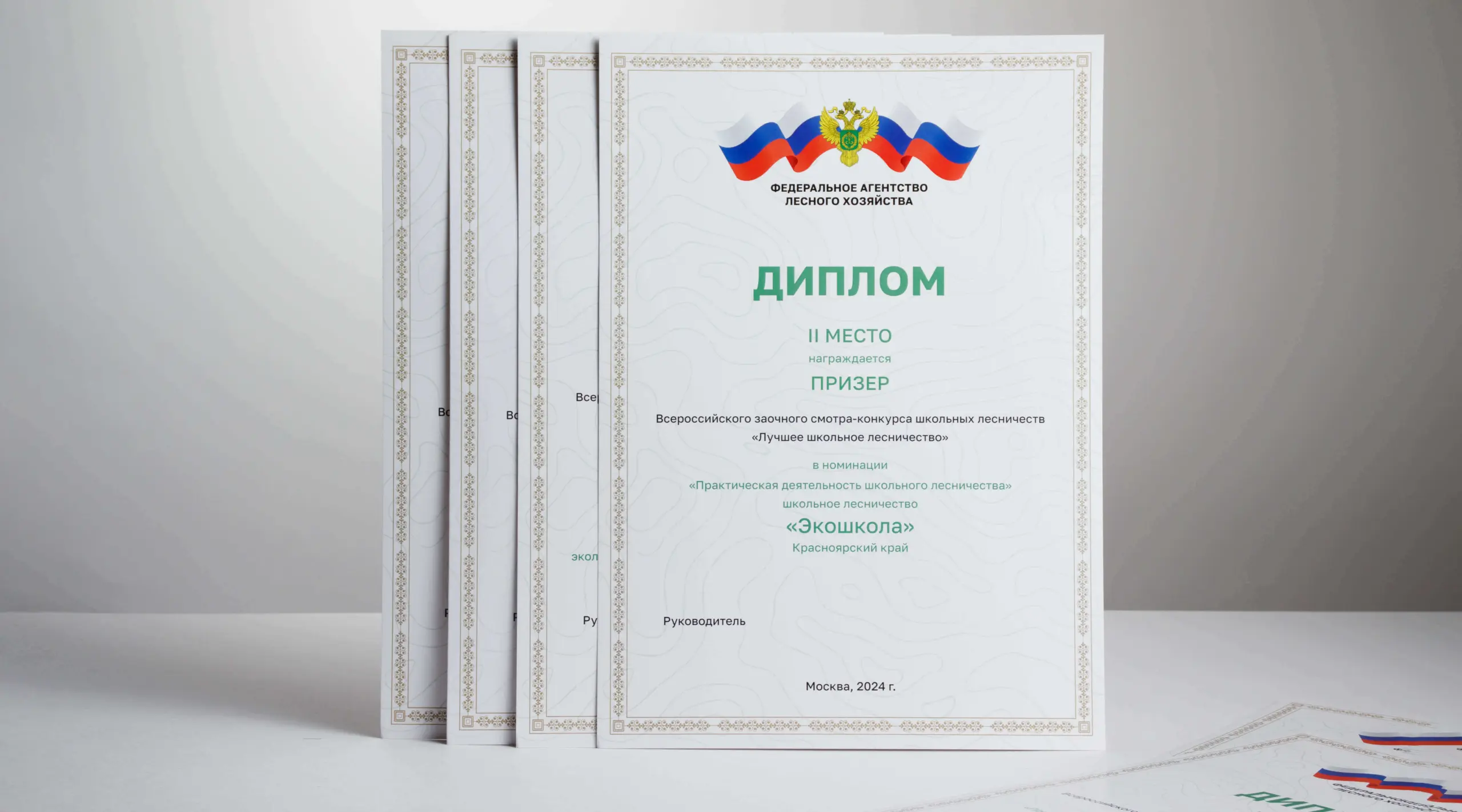  - картинка 8