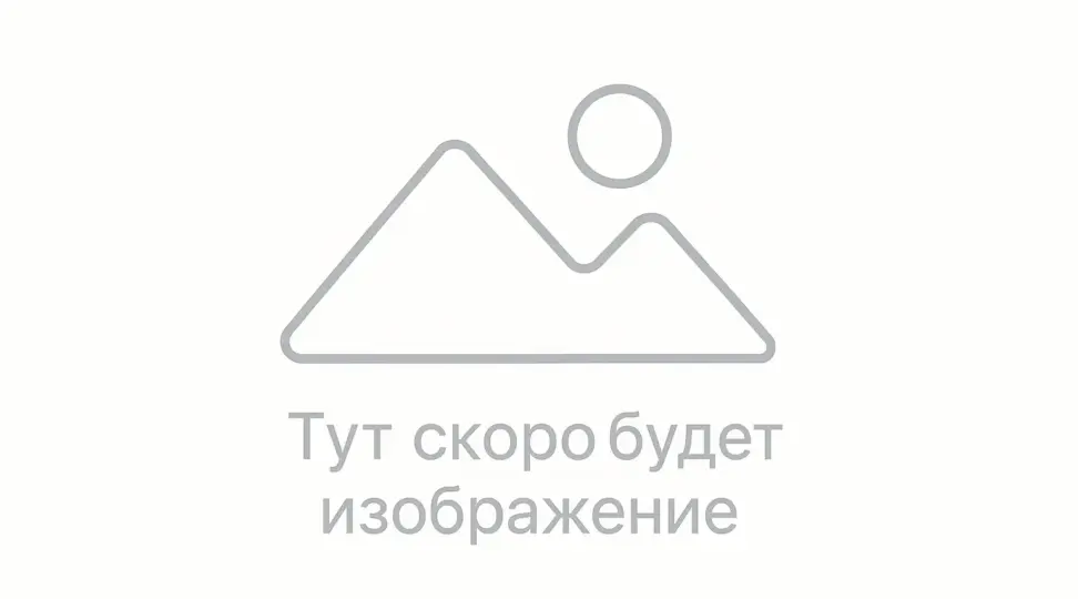  - картинка 1