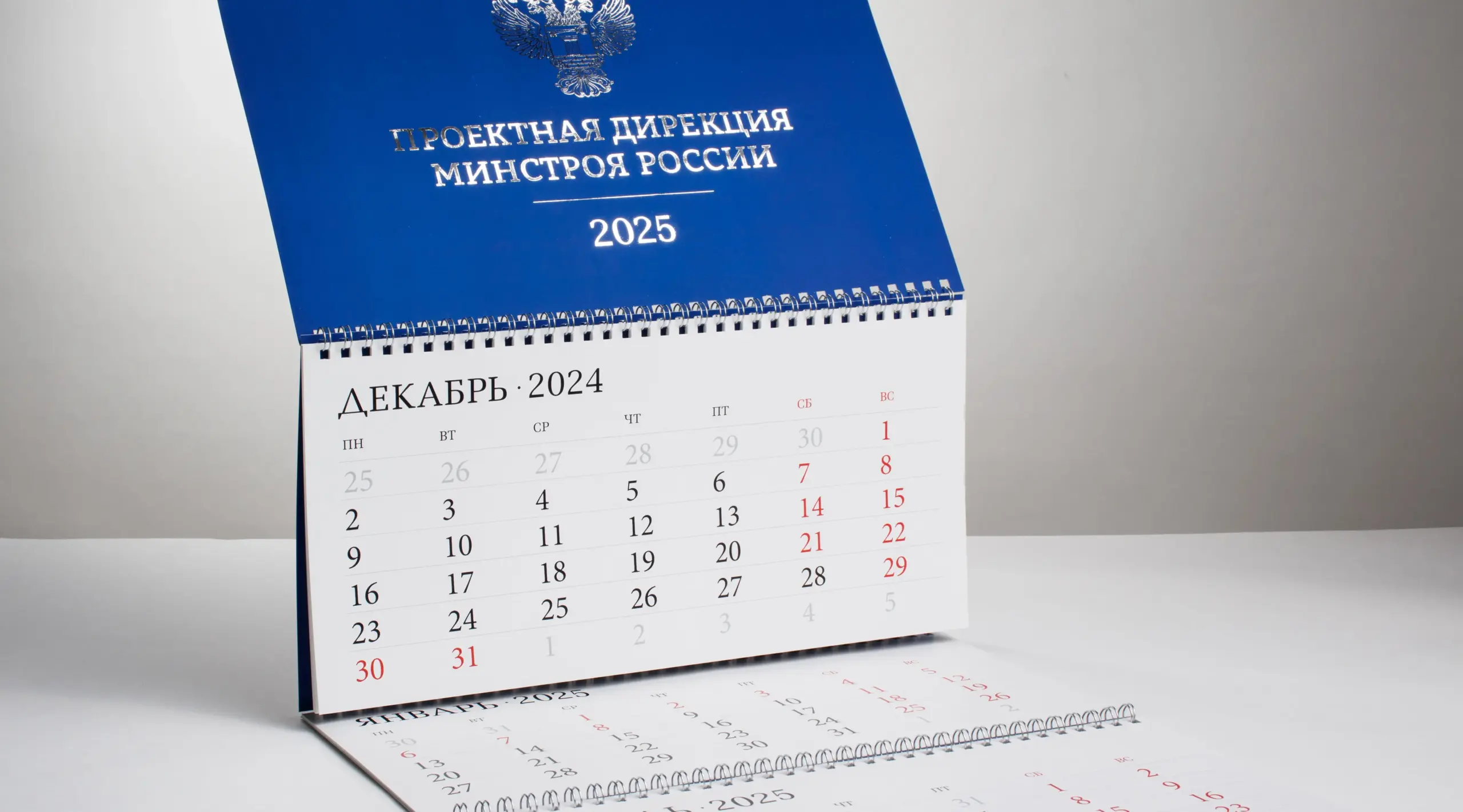  - картинка 8