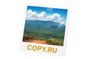 Фотопечать в Copy.ru