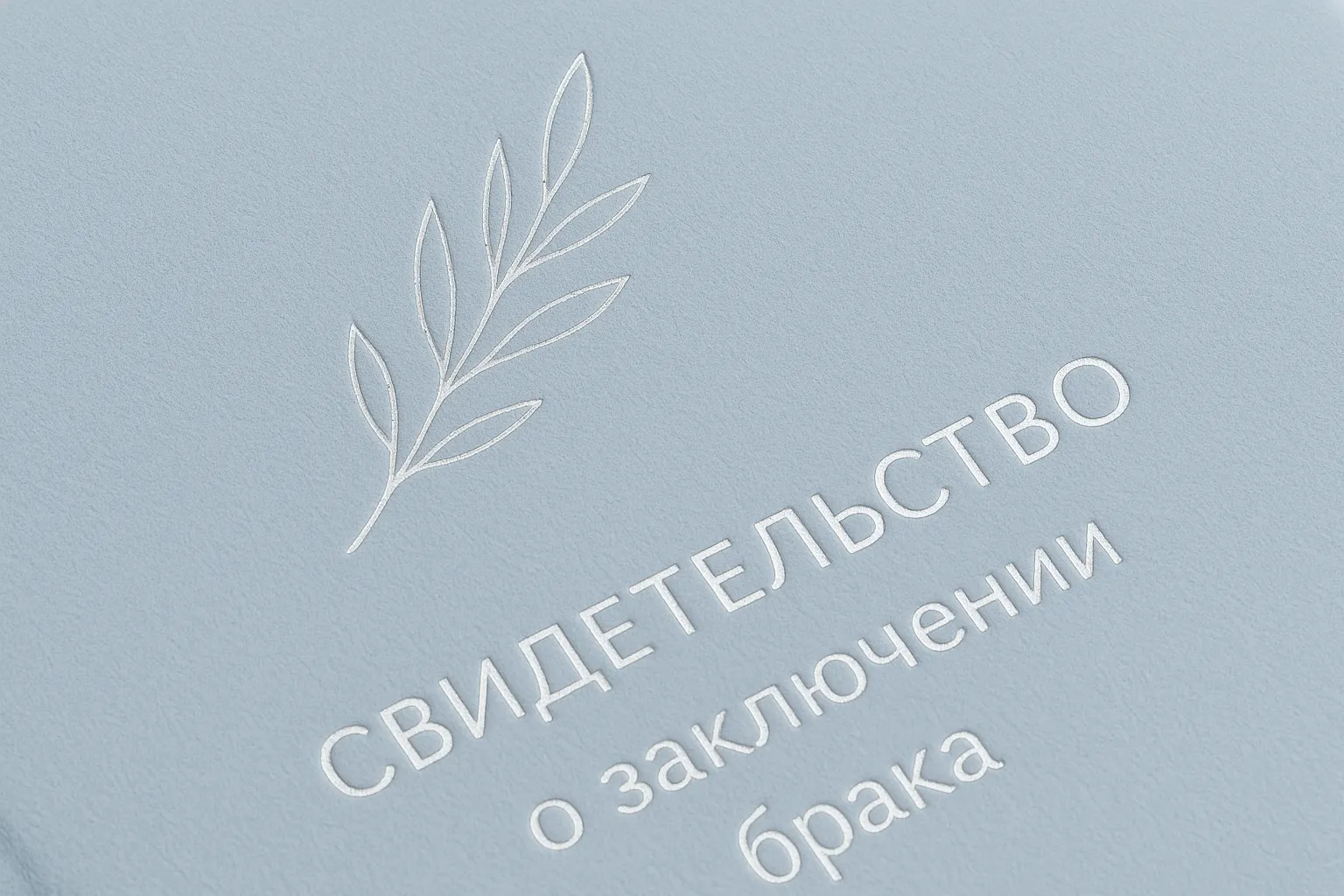  - картинка 10