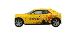 Наклейки на авто печать в Copy.ru