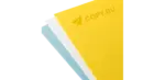 Биговка в Copy.ru