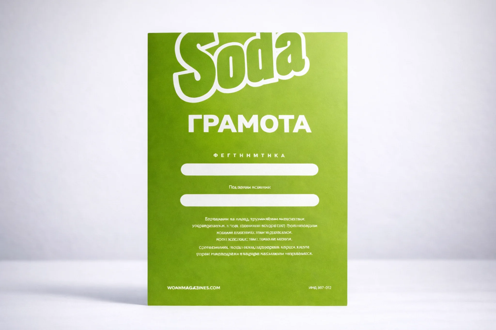  - картинка 13