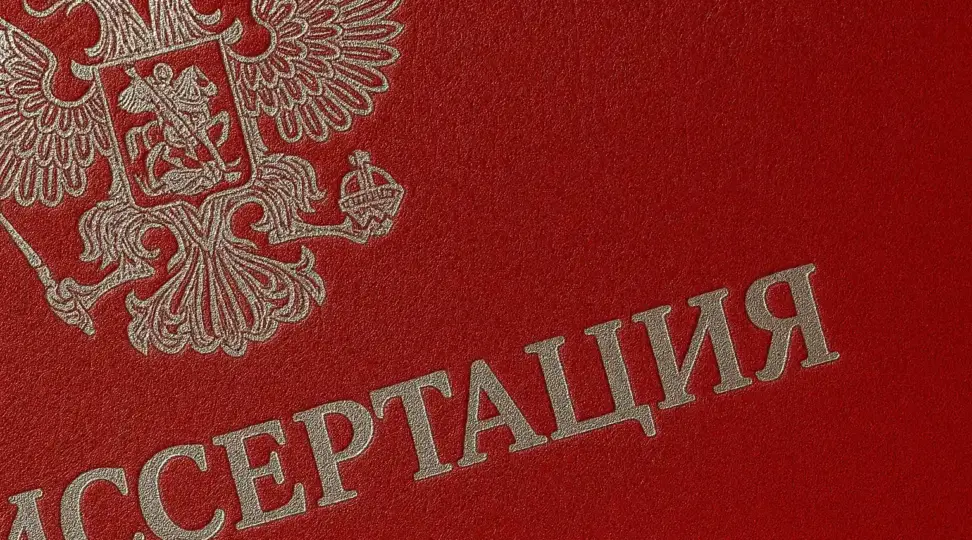  - картинка 2