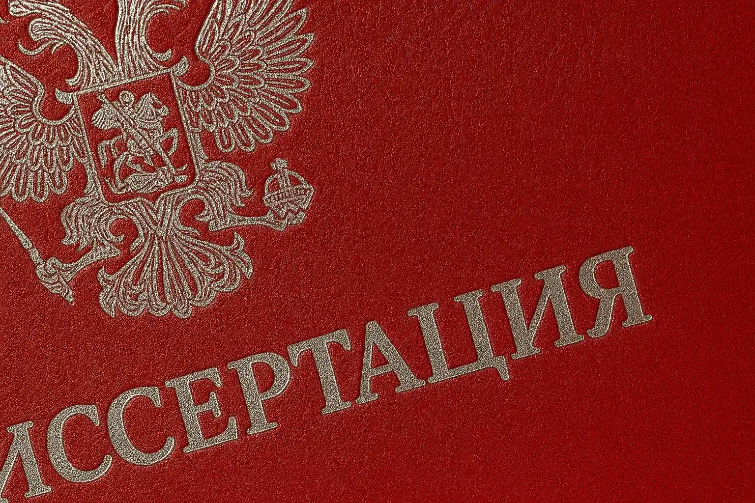  - картинка 8