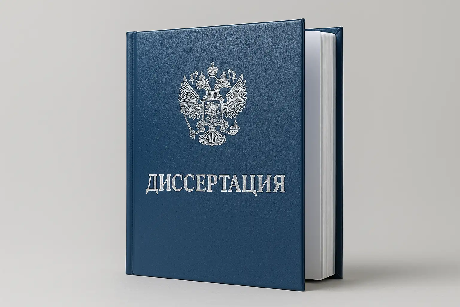  - картинка 11