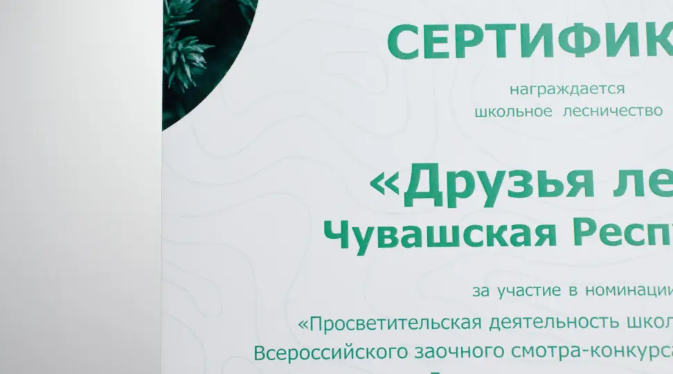  - картинка 8