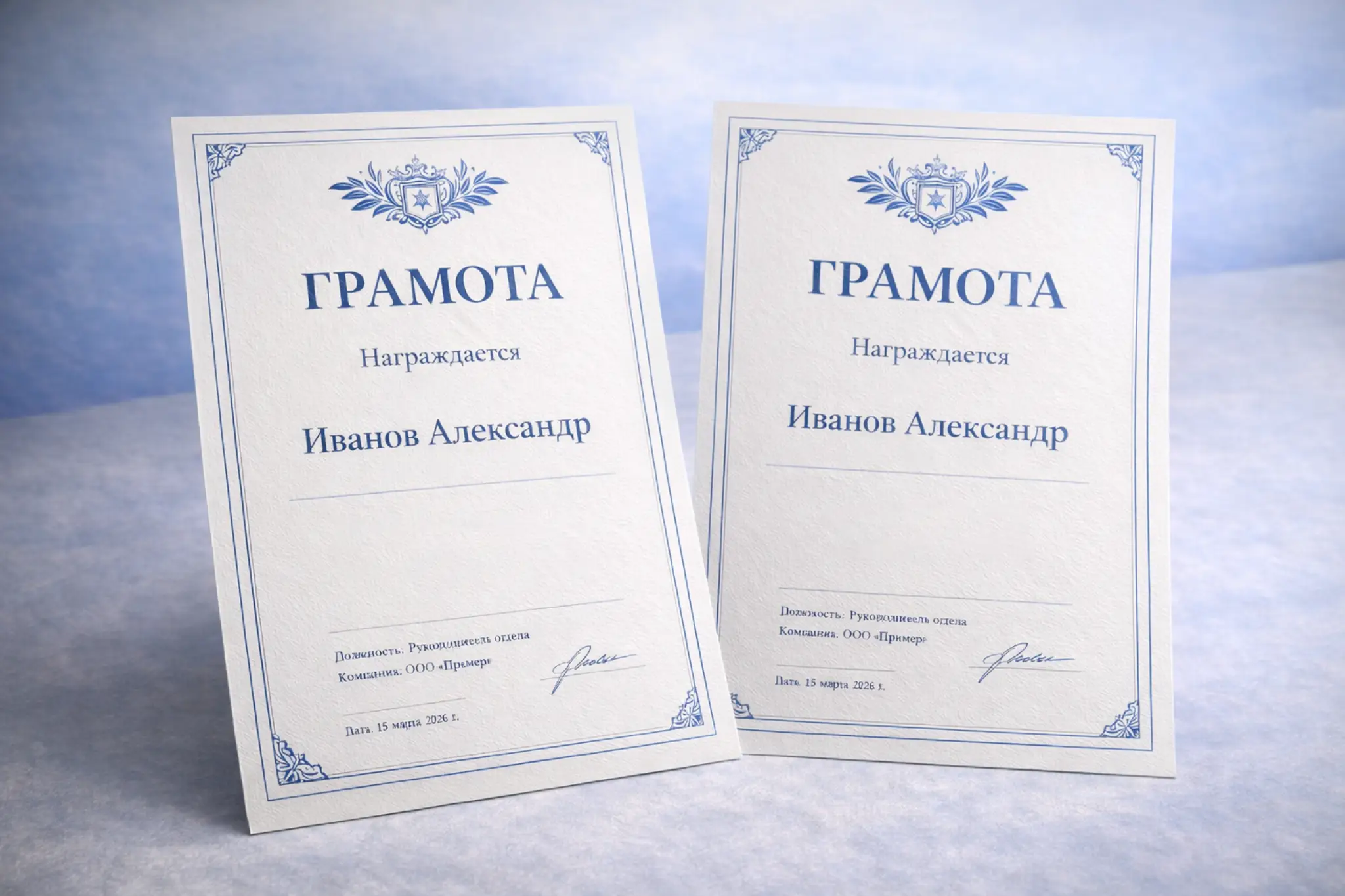  - картинка 8