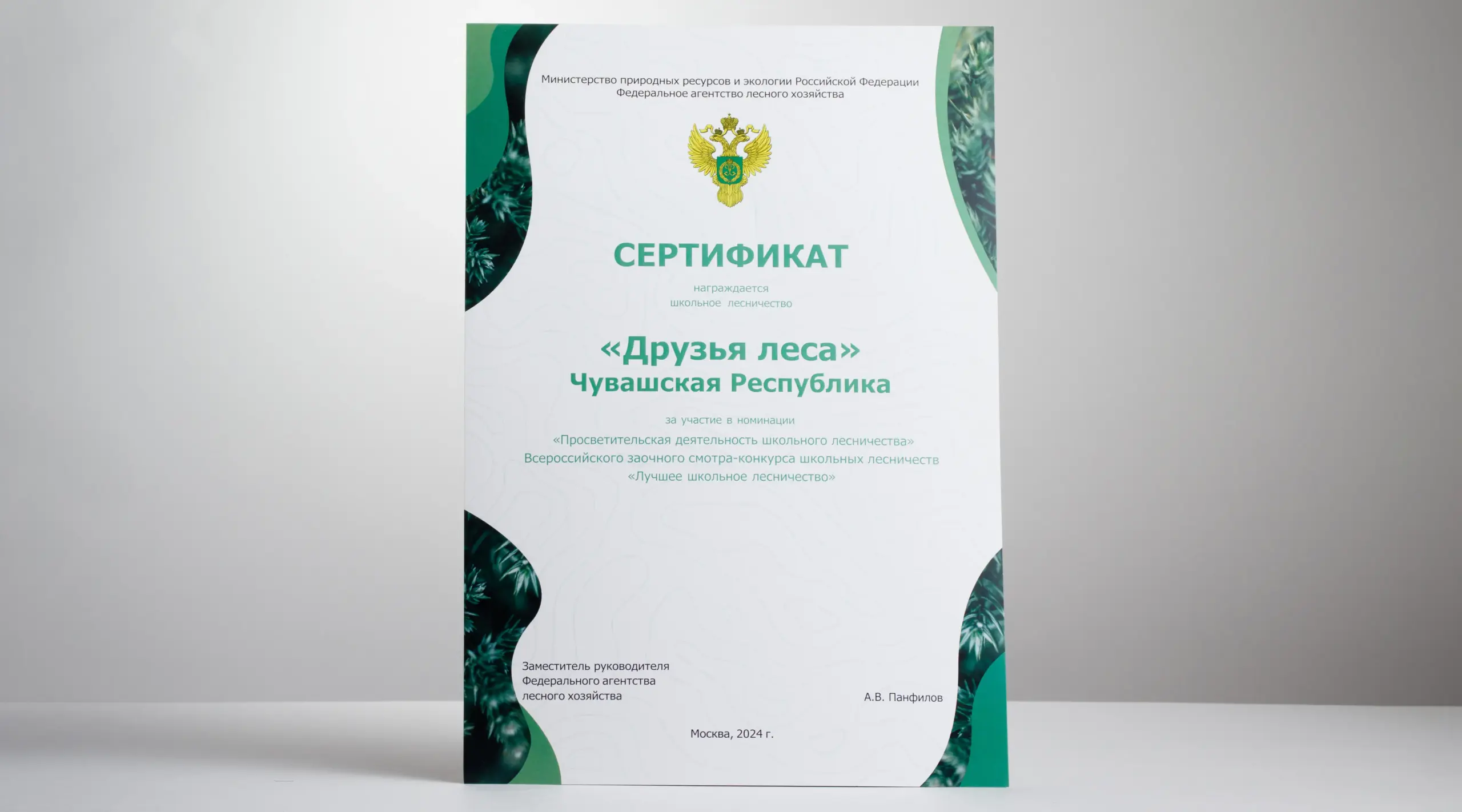  - картинка 15