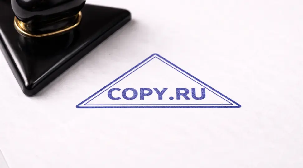  - картинка 5