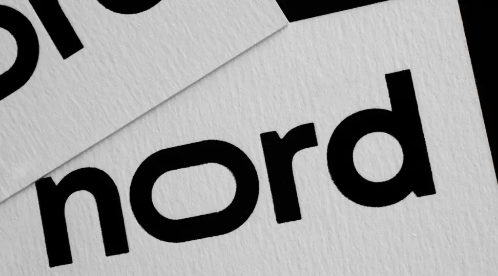 Дизайнерские визитки «Nord» - картинка 4