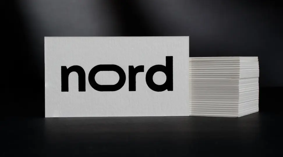 Дизайнерские визитки «Nord» - картинка 3