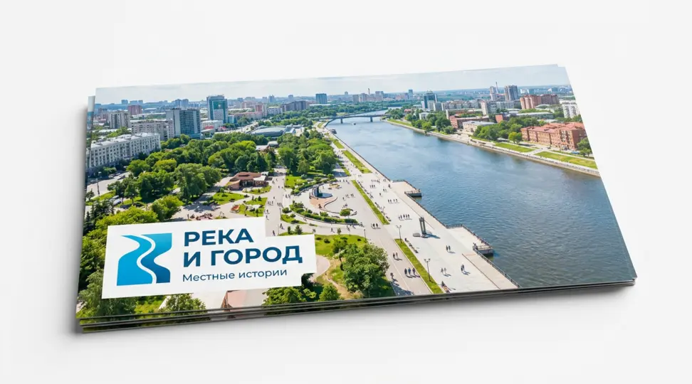  - картинка 5